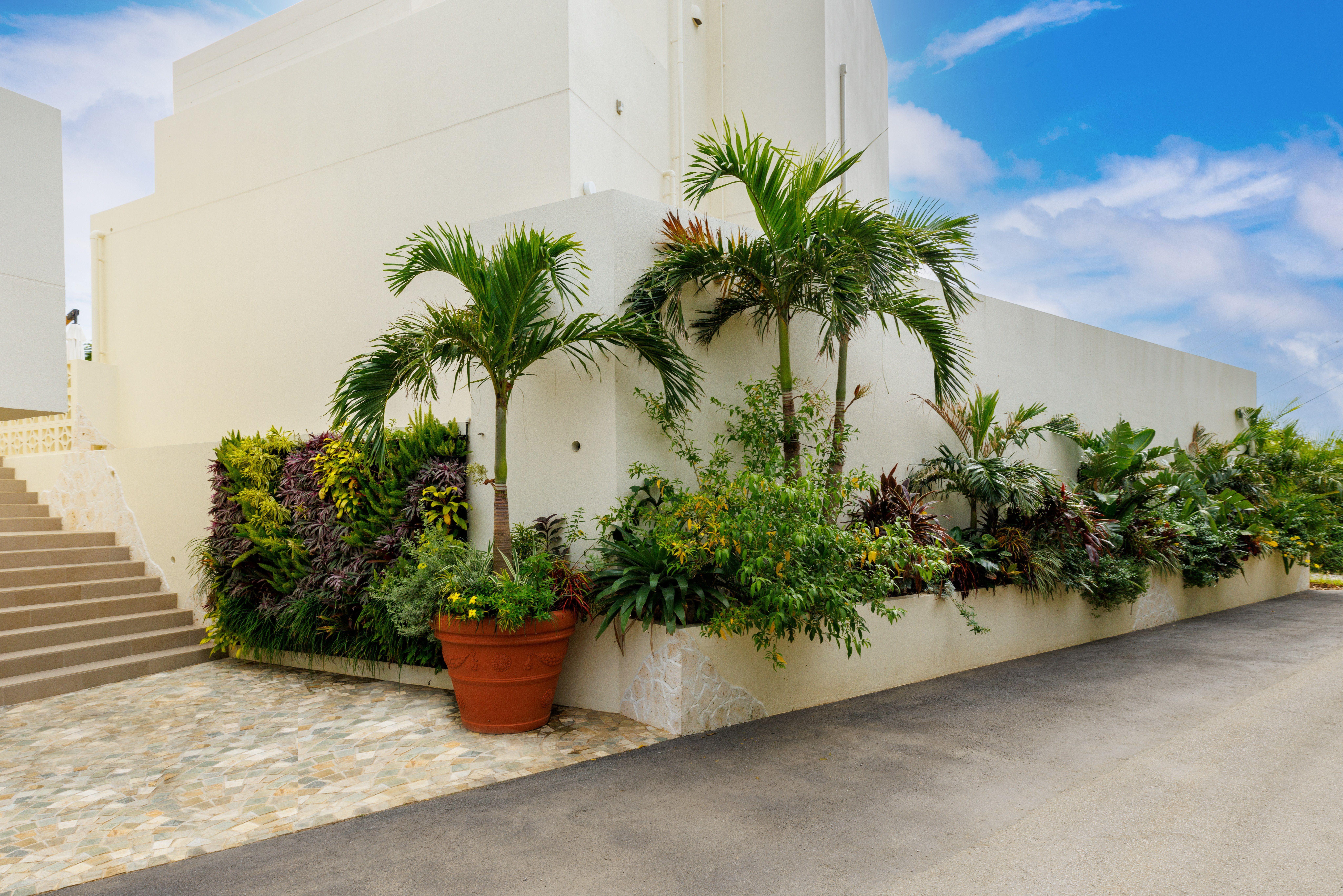 今帰仁村　オーシャンビュー古宇利島　デザイナーズPOOL VILLA 3棟